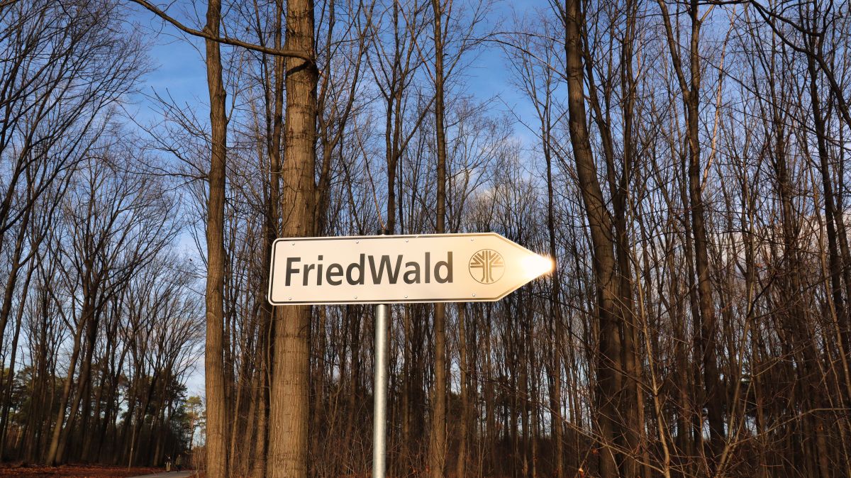 Friedwald