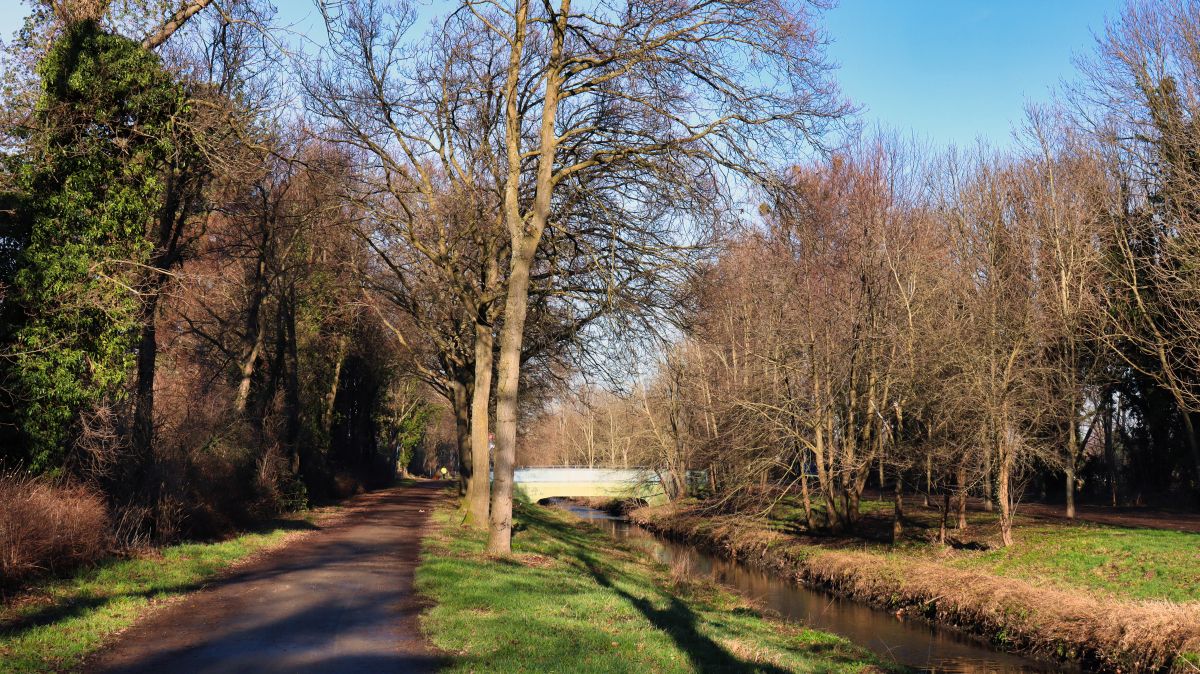 Niers bei Schloss Myllendonk