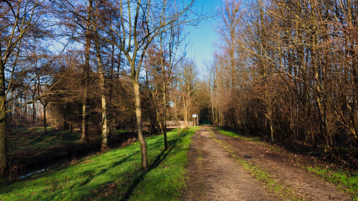 Entlang der Niers im Volksgarten