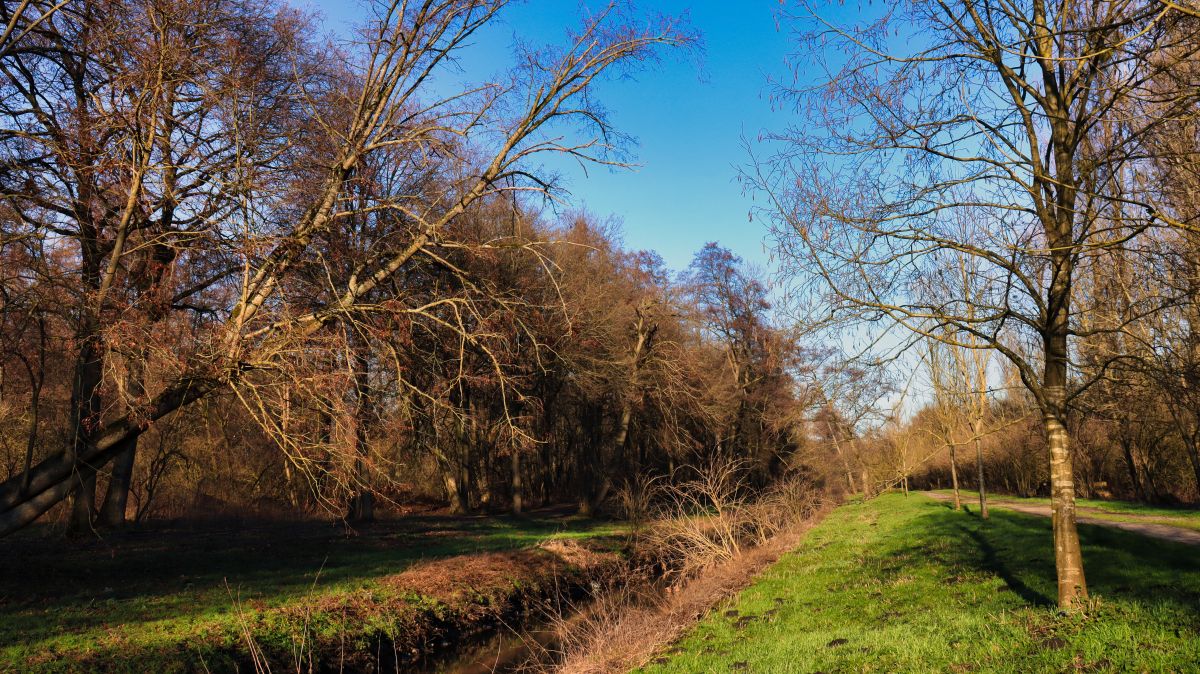 Entlang der Niers im Volksgarten